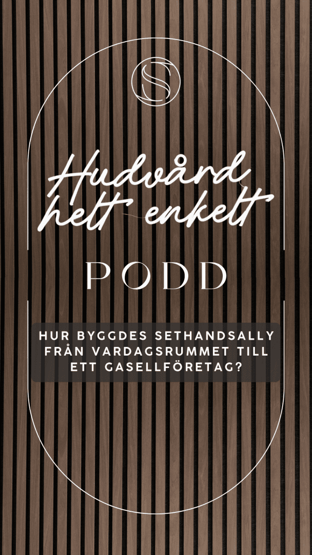Hur byggdes SethAndSally från vardagsrummet till ett Gasellföretag?